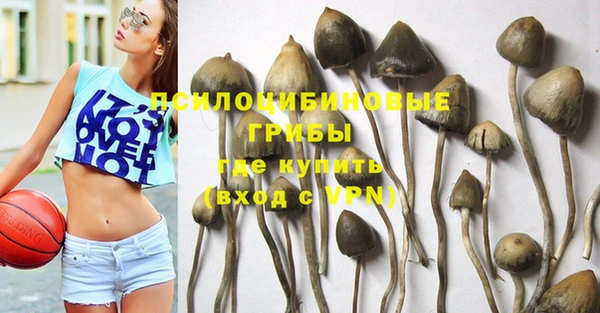 индика Горняк