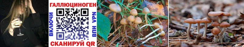 kraken зеркало  Троицк  Псилоцибиновые грибы Psilocybine cubensis 